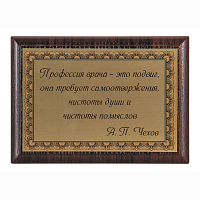 Плакетка "Профессия врача-это подвиг" ПА-278
