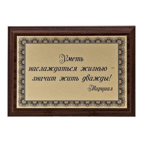 Плакетка "Уметь наслаждаться жизнью..." 12х17 см Плакетка "Уметь наслаждаться жизнью..." 12х17 см