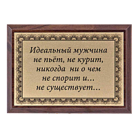 Плакетка "Идеальный мужчина..." ПА-223
