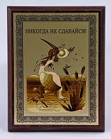 Плакетка "Никогда не сдавайся!" 18х23 см