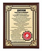 Плакетка "Диплом "Лучший руководитель" 18х23 см