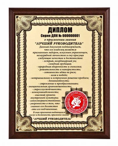 Плакетка "Диплом "Лучший руководитель" 18х23 см