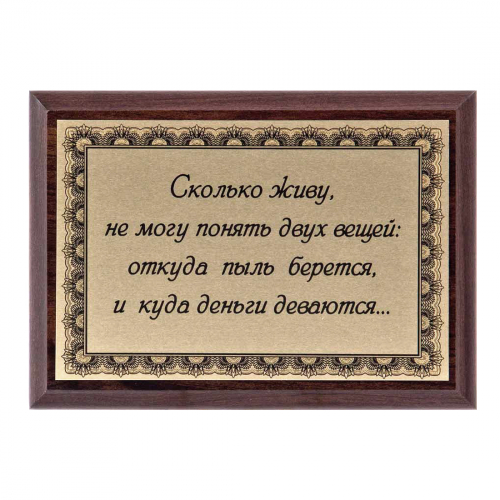 Плакетка "Сколько живу, не могу понять..." 12х17 см Плакетка "Сколько живу, не могу понять..." 12х17 см