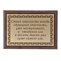 Плакетка "Страх опасности..." ПА-240
