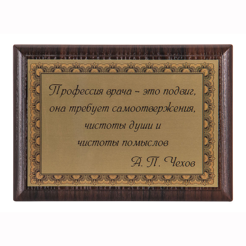 Плакетка "Профессия врача-это подвиг" 12х17 см Плакетка "Профессия врача-это подвиг" 12х17 см