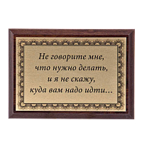 Плакетка "Не говорите мне, что делать..." ПА-233