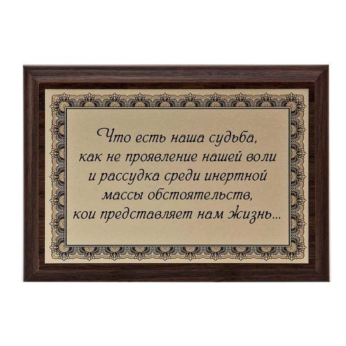 Плакетка "Что есть наша судьба..." 12х17 см Плакетка "Что есть наша судьба..." 12х17 см