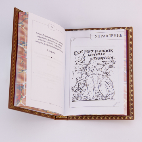 Книга "Кнут и пряник" (Руководство по применению) в кожаной обложке. Издание - Арт-студия "Классик" КПУ-74VIP фото 7 Книга "Кнут и пряник" (Руководство по применению) в кожаной обложке. Издание - Арт-студия "Классик" КПУ-74VIP фото 7