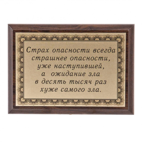 Плакетка "Страх опасности..." 12х17 см