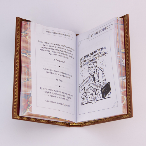 Книга "Кнут и пряник" (Руководство по применению) в кожаной обложке. Издание - Арт-студия "Классик" КПУ-74VIP фото 6 Книга "Кнут и пряник" (Руководство по применению) в кожаной обложке. Издание - Арт-студия "Классик" КПУ-74VIP фото 6