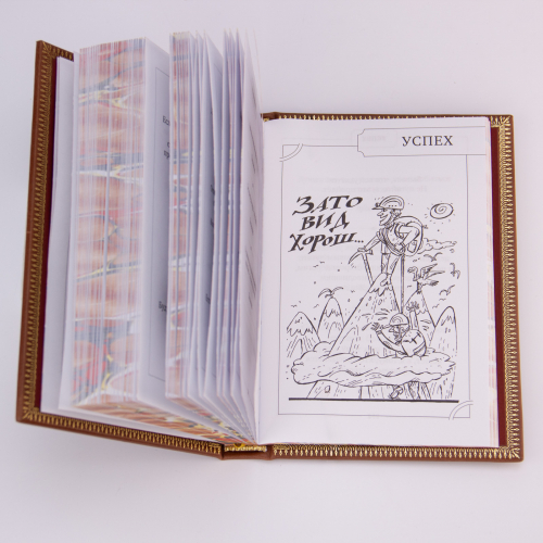 Книга "Кнут и пряник" (Руководство по применению) в кожаной обложке. Издание - Арт-студия "Классик" КПУ-74VIP фото 8 Книга "Кнут и пряник" (Руководство по применению) в кожаной обложке. Издание - Арт-студия "Классик" КПУ-74VIP фото 8