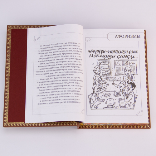 Книга "Кнут и пряник" (Руководство по применению) в кожаной обложке. Издание - Арт-студия "Классик" КПУ-74VIP фото 5 Книга "Кнут и пряник" (Руководство по применению) в кожаной обложке. Издание - Арт-студия "Классик" КПУ-74VIP фото 5