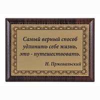 Плакетка "Самый верный способ..." 12х17 см