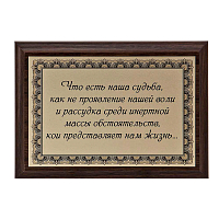Плакетка "Что есть наша судьба..." ПА-252