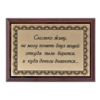 Плакетка "Сколько живу, не могу понять..." ПА-225